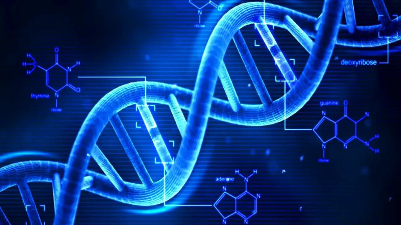 Moosmosis: Biology and DNA