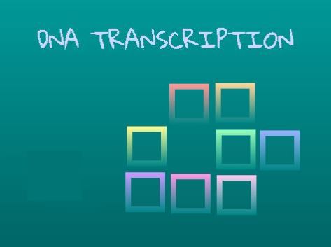 This SCRATCH project automatically converts DNA strand sequences into mRNA strand sequences.