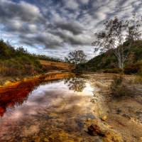 Ecology 101 - Acid Deposition (Acid Rain): Causes and Effects on Environment and Health