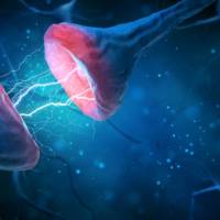 Nervous System 101 Study Guide Notes: Neuronal Synapses, Types of Neurotransmitters: Glutamate vs GABA vs Glycine vs Acetylcholine vs Catecholamine, Mechanism of Action, and Neuroplasticity  [MCAT, USMLE, Biology, Medicine]